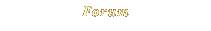 Forum