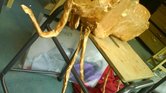 Art exam