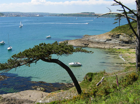 Falmouth harbour