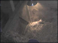 Under the heat lamp 