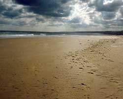 Omaha beach. This was the scene for the bloodiest battle of the D-Day operation. Over 3000 troops were killed in just one day