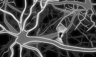 Spongy Grey Maze of synapses by Andrew Wyld