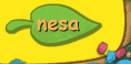 Nesa
