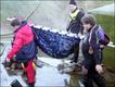 Foto: British Divers Marine Life Rescue