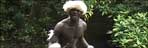 Edwin Mathe