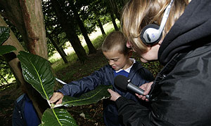 Radio Cumbria