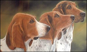 Dogs