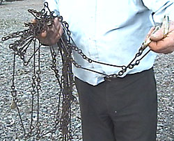 Gunthers chain