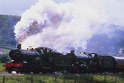 train