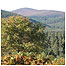 Glen Tanar