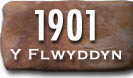 Blwyddyn