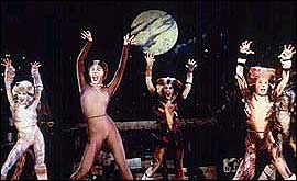 CATS the musical