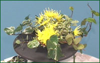 insert coloured flowers in to the middle fo the oasis
