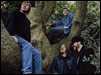 The Earlies