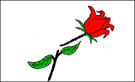 Broken Rose