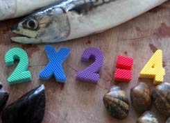 fish