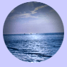 the ocean