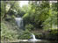 Waterfall at Roker Park