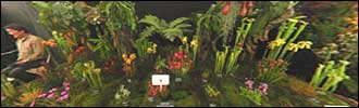 Spring Garden Show