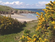 Diùirnis