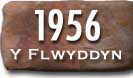 Blwyddyn