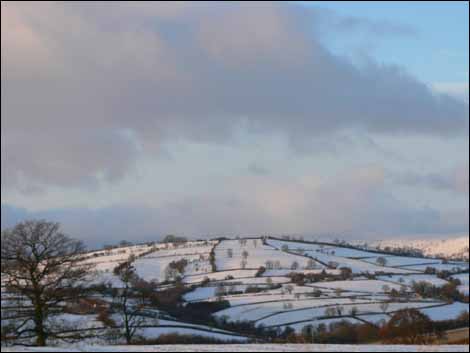 Hills at Longtown