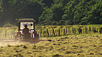 Farm Diversification and Tourism in Snowdonia