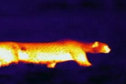 Hot spots 1 Hot spots 1