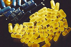 Thalidomide capsules