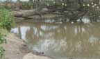 ethiopia