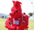 Draig goch