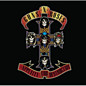 Review of Appetite for Destruction
