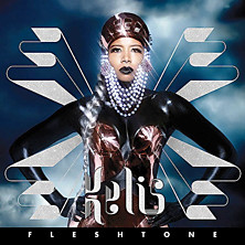 Review of Flesh Tone