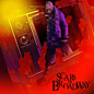 Review of Scars on Broadway