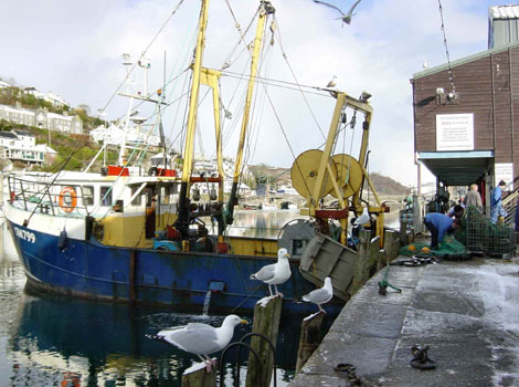 Looe