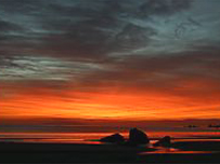 Whangamata 