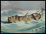 Link to gallery page - Tsunami