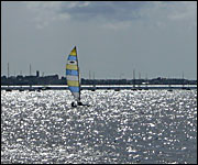 The River Exe