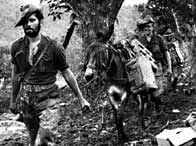 Photograph of a carrier donkey with Chindits in Burma
