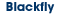 Blackfly