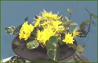 place smaller flowers on each side