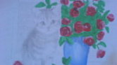 Cat Cat