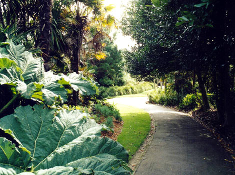Morrab Gardens