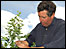 Nick Hewison picking blueberries