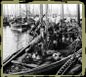 Fishing boats