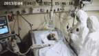 目前在中国已经有14人感染H7N9病毒，其中6人死亡。