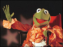 大布偶科米蛙