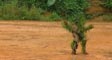 babongo's video screenshot thumbnail