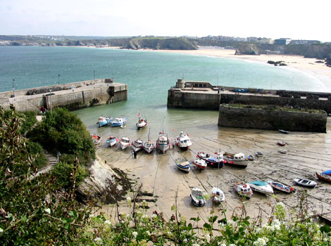 Newquay harbour