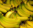 bananas